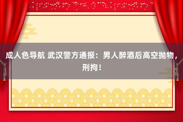 成人色导航 武汉警方通报：男人醉酒后高空抛物，刑拘！