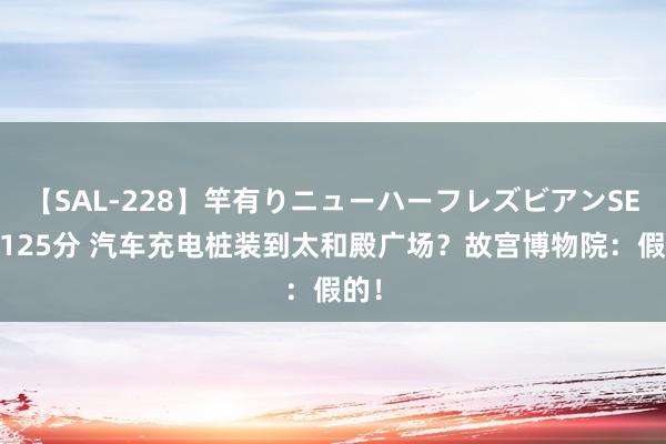 【SAL-228】竿有りニューハーフレズビアンSEX1125分 汽车充电桩装到太和殿广场？故宫博物院