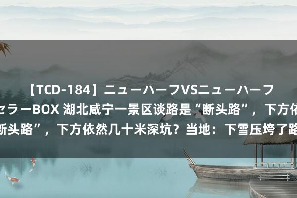 【TCD-184】ニューハーフVSニューハーフ 不純同性肛遊ベストセラーBOX 湖北咸宁一景区谈路是