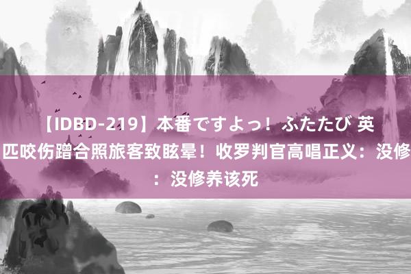 【IDBD-219】本番ですよっ！ふたたび 英国王马匹咬伤蹭合照旅客致眩晕！收罗判官高唱正义：没修养