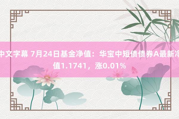 中文字幕 7月24日基金净值：华宝中短债债券A最新净值1.1741，涨0.01%