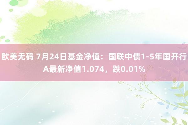 欧美无码 7月24日基金净值：国联中债1-5年国开行A最新净值1.074，跌0.01%