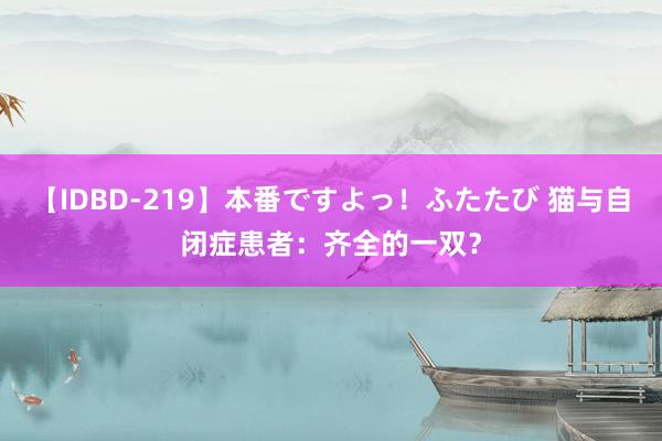 【IDBD-219】本番ですよっ！ふたたび 猫与自闭症患者：齐全的一双？