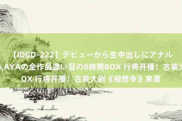 【IDBD-222】デビューから生中出しにアナルまで！最強の芸能人AYAの全作品濃い目の8時間BOX