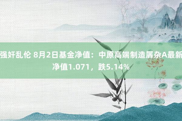 强奸乱伦 8月2日基金净值：中原高端制造羼杂A最新净值1.071，跌5.14%