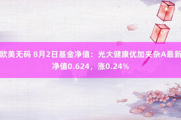 欧美无码 8月2日基金净值：光大健康优加夹杂A最新净值0.624，涨0.24%