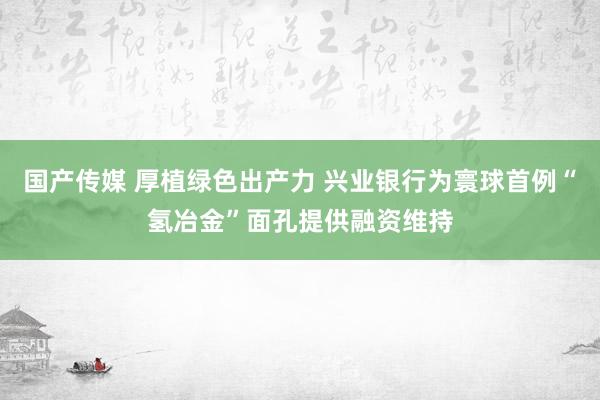 国产传媒 厚植绿色出产力 兴业银行为寰球首例“氢冶金”面孔提供融资维持