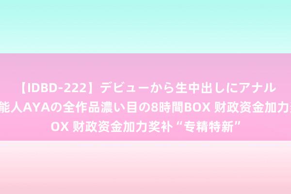 【IDBD-222】デビューから生中出しにアナルまで！最強の芸能人AYAの全作品濃い目の8時間BOX