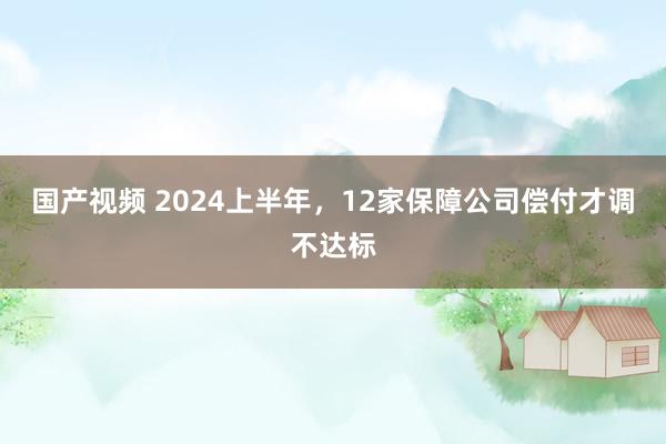 国产视频 2024上半年，12家保障公司偿付才调不达标