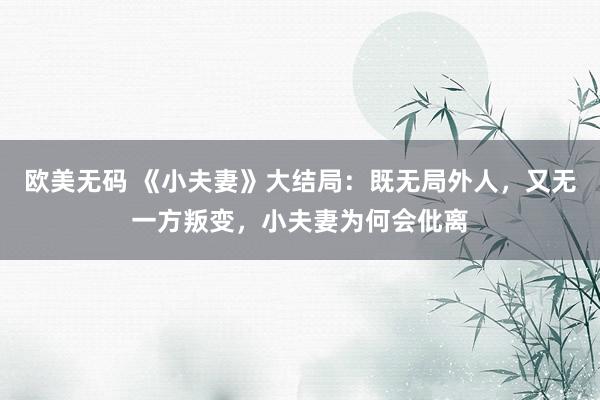 欧美无码 《小夫妻》大结局：既无局外人，又无一方叛变，小夫妻为何会仳离