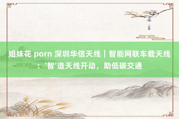 姐妹花 porn 深圳华信天线｜智能网联车载天线：‘智’造天线开动，助低碳交通