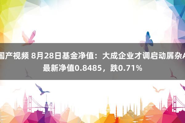 国产视频 8月28日基金净值：大成企业才调启动羼杂A最新净值0.8485，跌0.71%