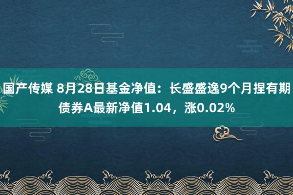 国产传媒 8月28日基金净值：长盛盛逸9个月捏有期债券A最新净值1.04，涨0.02%