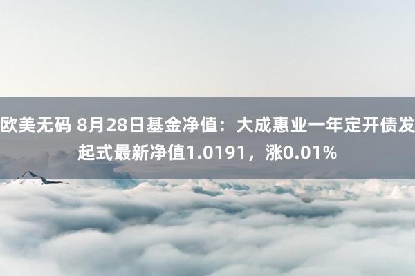 欧美无码 8月28日基金净值：大成惠业一年定开债发起式最新净值1.0191，涨0.01%