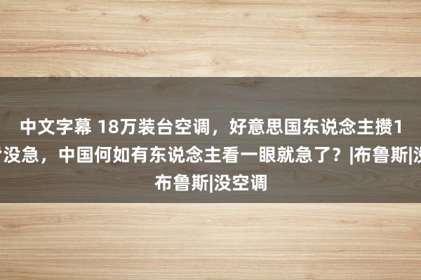 中文字幕 18万装台空调，好意思国东说念主攒12年皆没急，中国何如有东说念主看一眼就急了？|布鲁斯|