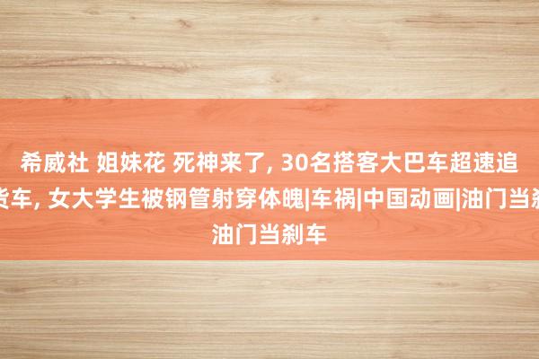 希威社 姐妹花 死神来了， 30名搭客大巴车超速追尾货车， 女大学生被钢管射穿体魄|车祸|中国动画|油门当刹车