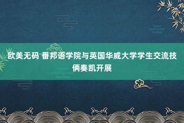 欧美无码 番邦语学院与英国华威大学学生交流技俩奏凯开展