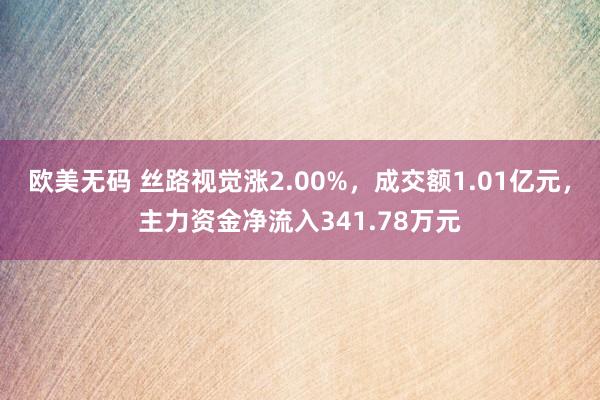 欧美无码 丝路视觉涨2.00%，成交额1.01亿元，主力资金净流入341.78万元